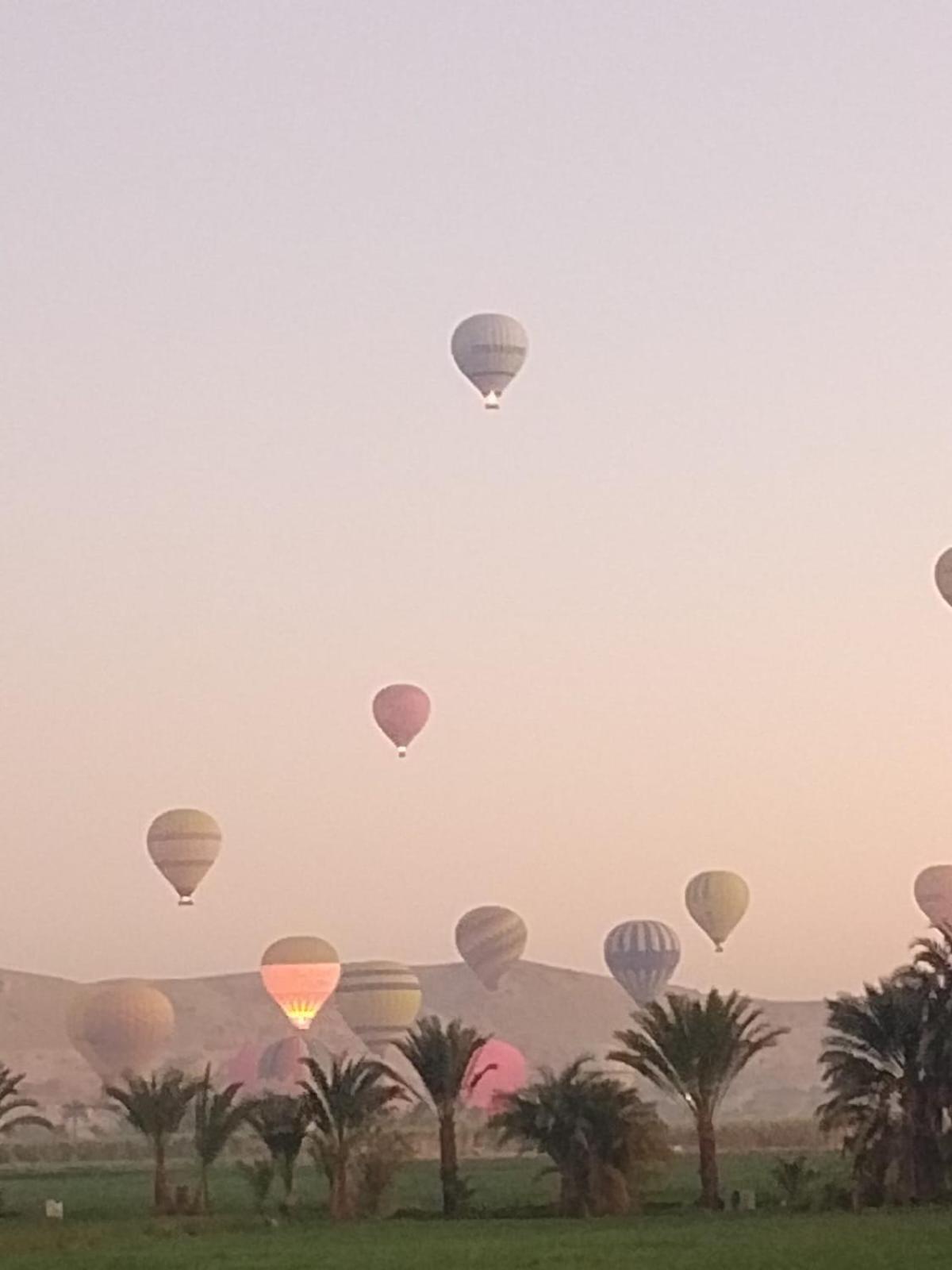 Egypt Amon Hotel Luxor Buitenkant foto